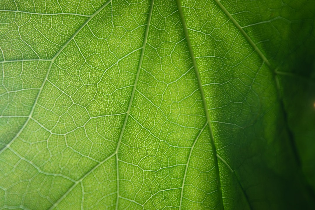 Transformação digital e sustentabilidade na gestão de suprimentos MRO e corporativos